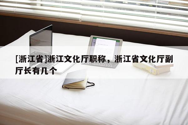 [浙江省]浙江文化厅职称，浙江省文化厅副厅长有几个